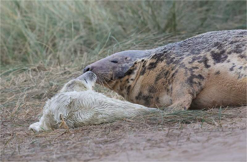 Sealed With a Kiss_Hannah Taylor_Open.jpg - Open 