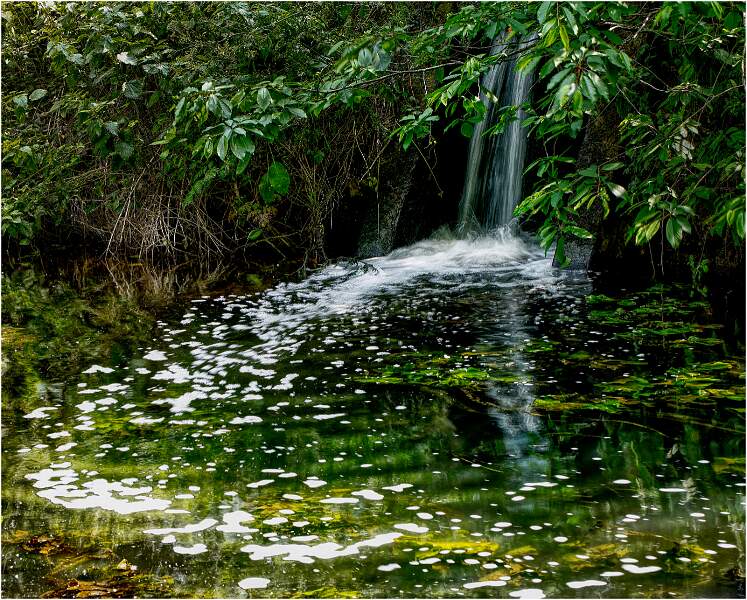 Suffolk's only waterfall_IainBlacklaw_Open.jpg - DPI 1 25-26