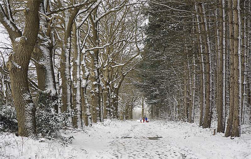 WINTER WALK_MARIAN ROSE_OPEN.jpg - DPI 1 OPEN