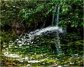 Suffolk's only waterfall_IainBlacklaw_Open