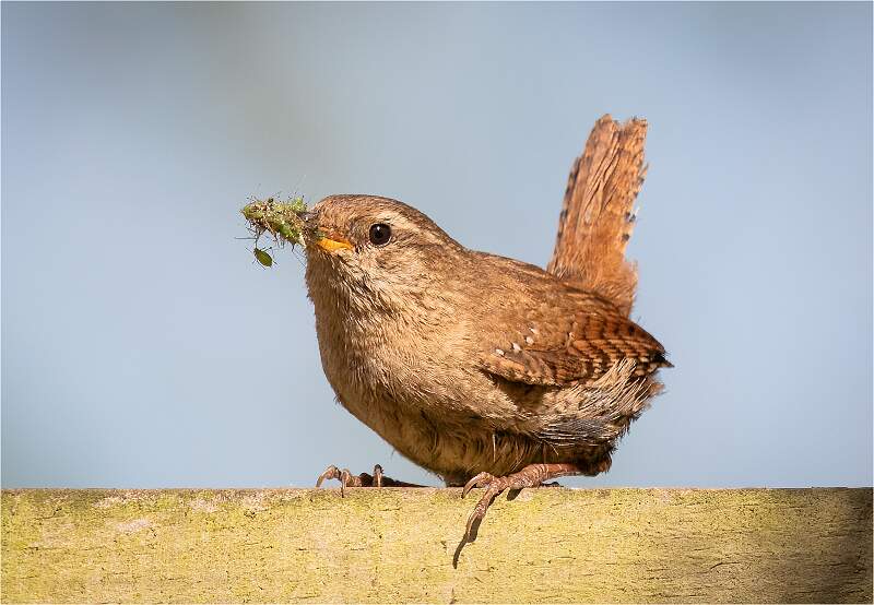 Food for the Family Open d.p.i..jpg - Food for the Family_michael bamford_open.jpg