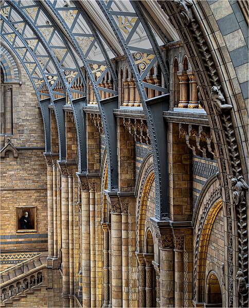 Natural History Museum _ Alison Hance_Open.jpg - DPI Monthly Comp No 3 Open
