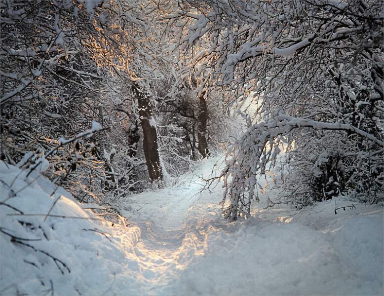 Winter Pathway_David Pryke_Open.jpg - Looking Down - Open
