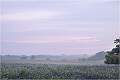 Misty October Morning near Framsden_Karen Eaton_Open