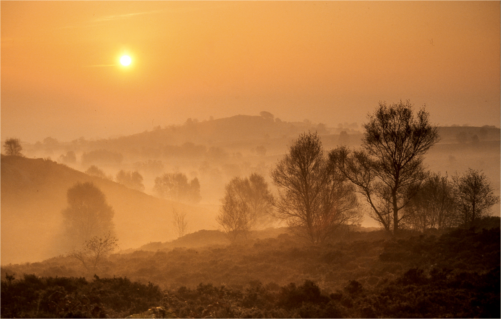 The Warming Dawn_David Pryke_Open.jpg - Shaddows - Open