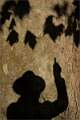 B_Pointing at Shadows_Stephanie Stollery_Set