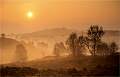 The Warming Dawn_David Pryke_Open