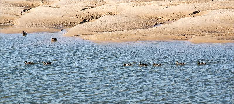 David Ryland_Family Outing_Gallery.jpg