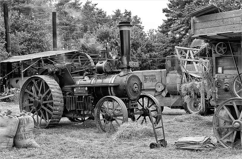 David Ryland_ARPS 06.jpg