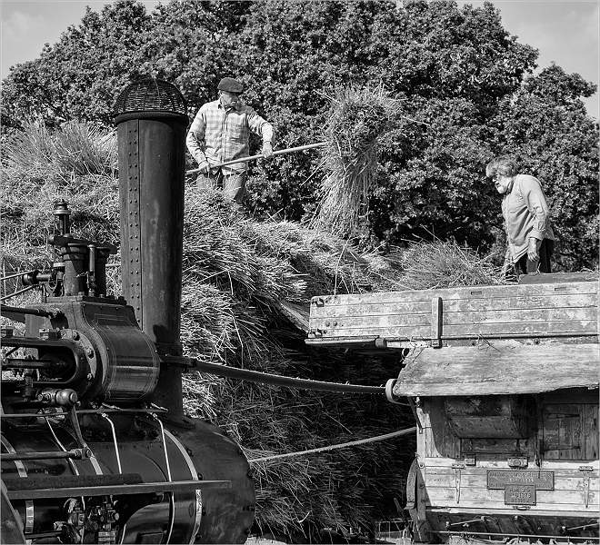 David Ryland_ARPS 13.jpg