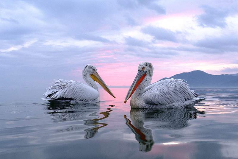 Meeting at Dawn_Kevin Williams CPAGB.jpg