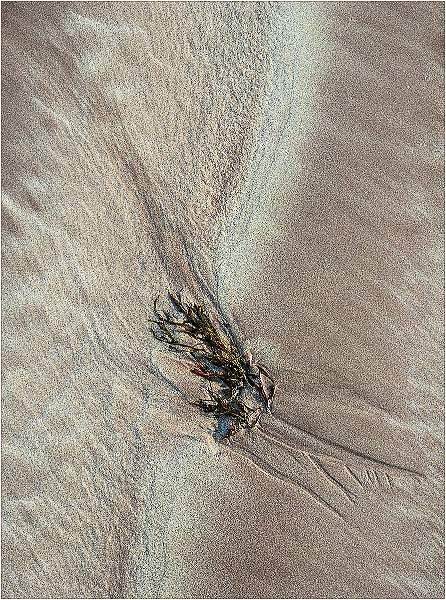02_Fermoyle Strand Sand Patters_Barry Freeman.jpg