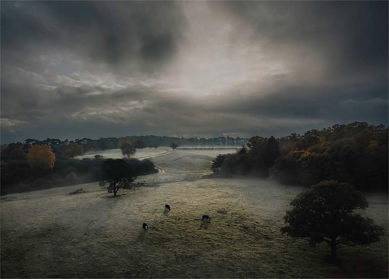 1_George Farthing Trophy_Pastures in the mist_Jackie Gillman.jpg