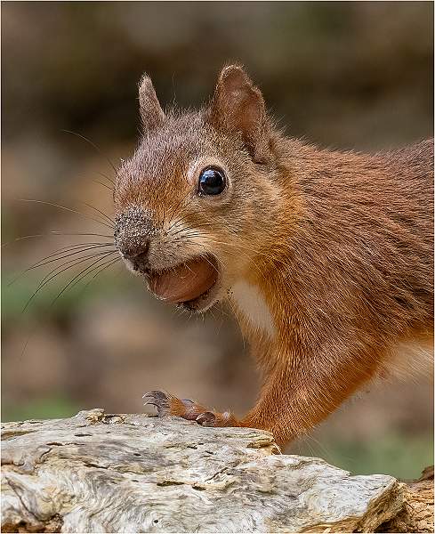 5. Found it!!.jpg - Nacton Cup