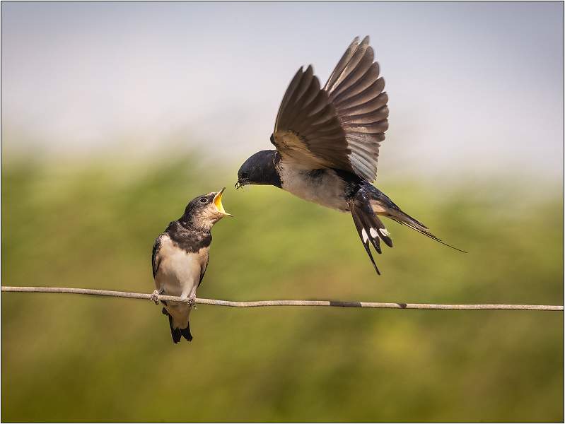 04.02_MC1_8943.jpg - East Lane, Bawdsey