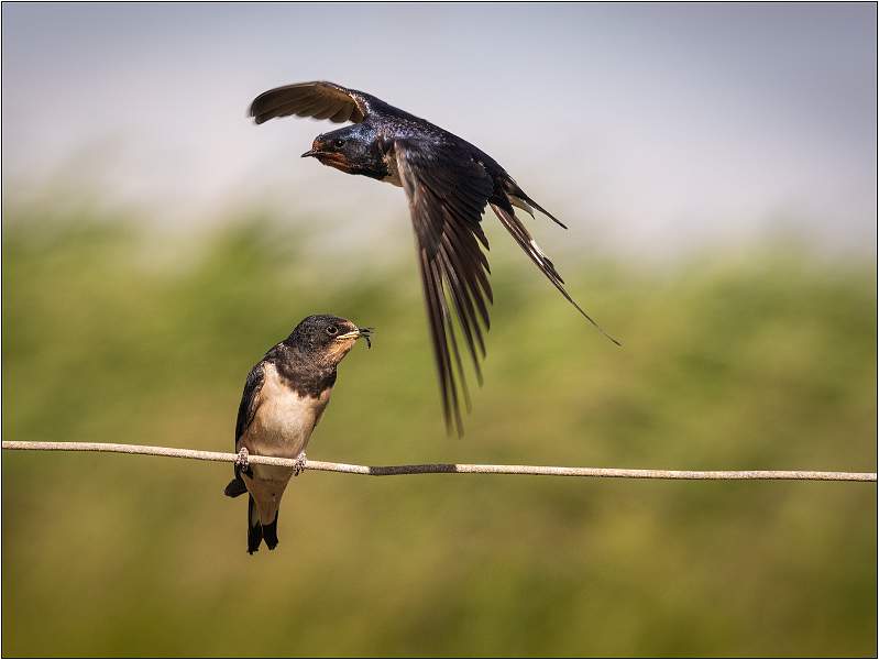 04.05_MC1_8946.jpg - East Lane, Bawdsey