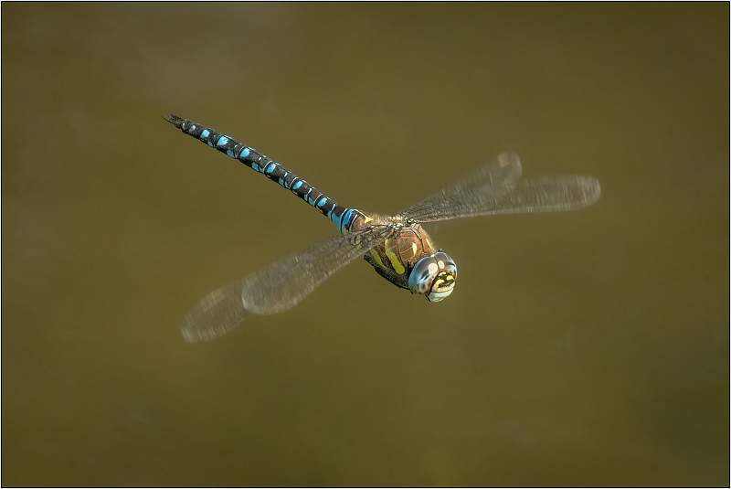 03.07-MC3_7207.jpg - NT Flatford Mill