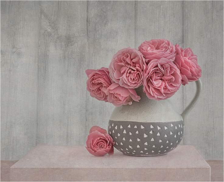 Colour Group Cup_Midsummer Roses_Lindsey Saunders.jpg