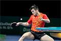 China’s Fan Zhendong_Roger Hance FRPS