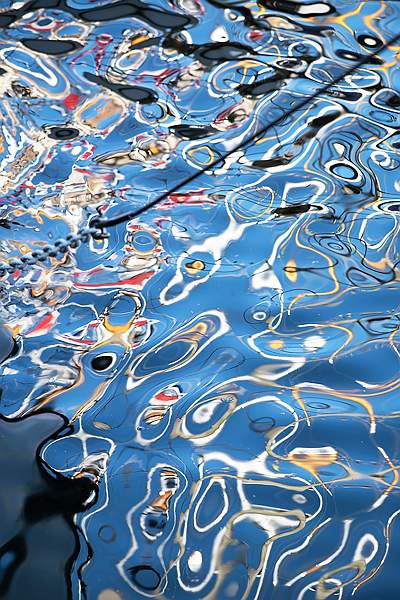 Wiggles in Water 1_Isabella Knight_Clover.jpg - Clover Cup