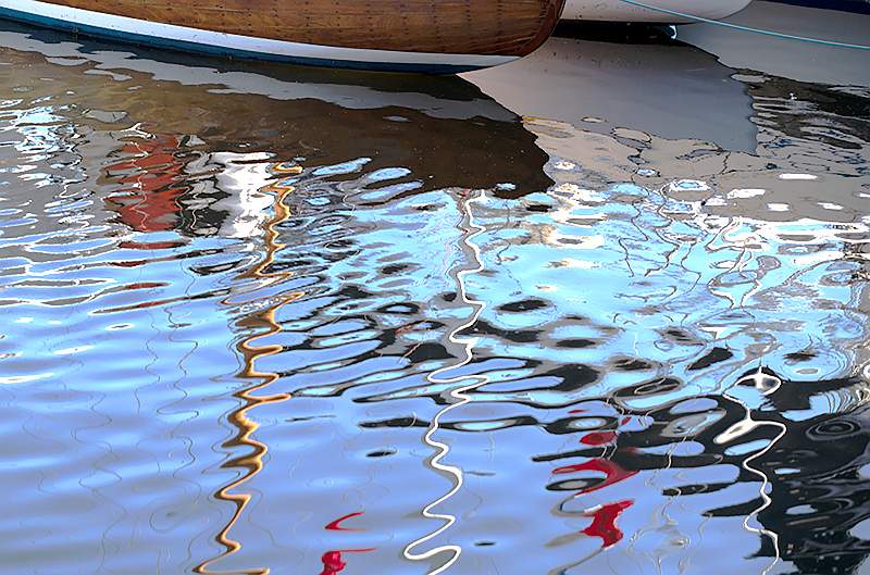 Wiggles in Water 2_Isabella Knight_Clover.jpg - Clover Cup