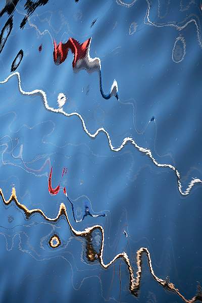 Wiggles in Water 3_Isabella Knight_Clover.jpg - Clover Cup