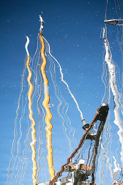 Wiggles in Water 4_Isabella Knight_Clover.jpg - Clover Cup