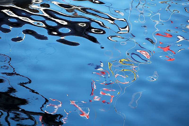 Wiggles in Water 5_Isabella Knight_Clover.jpg - Clover Cup