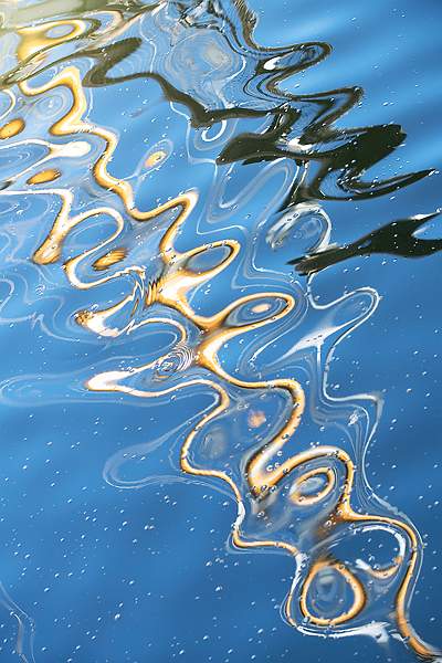 Wiggles in Water 6_Isabella Knight_Clover Cup.jpg - Clover Cup 