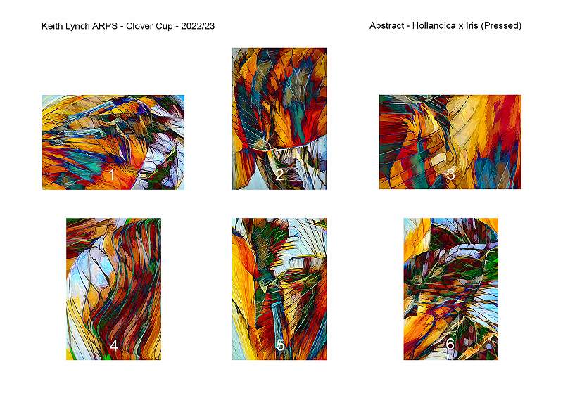 Clover Cup 2022_23_Hanging Plan_A4Print.jpeg