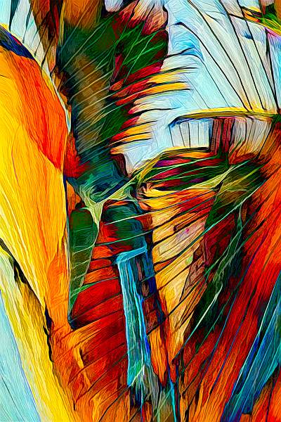 Image-5.jpg - Clover Cup