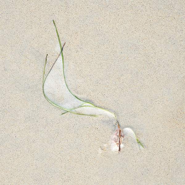 SEAWEED & FOAM 3.jpg