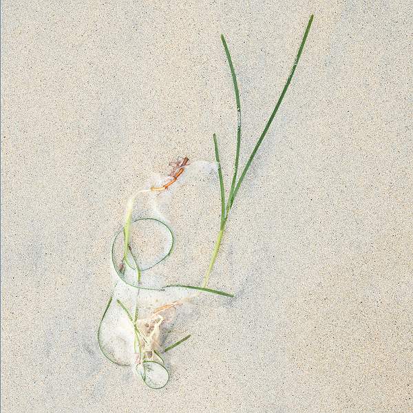 SEAWEED & FOAM 6.jpg