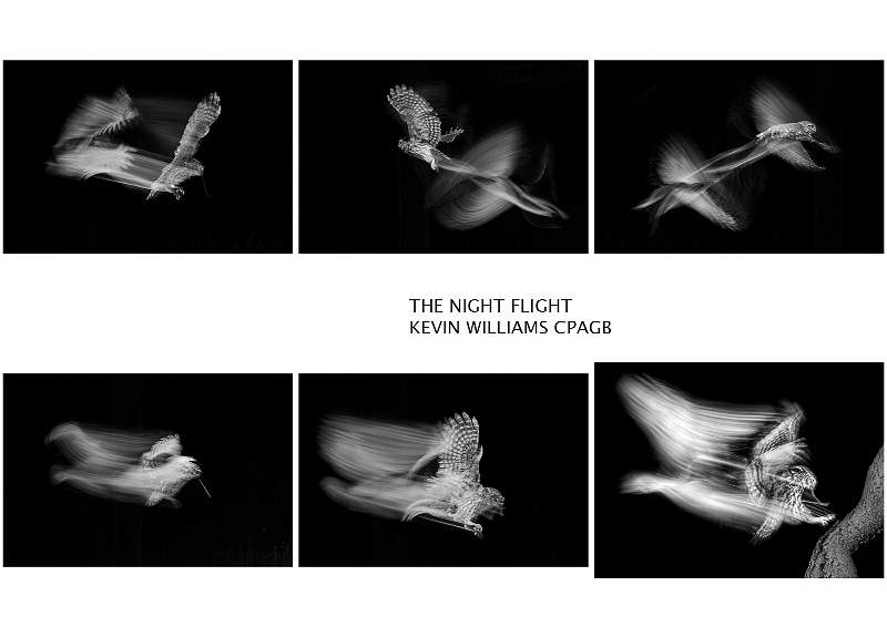 Panel - The Night Flight.jpg