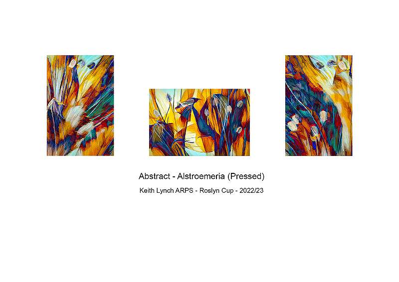 Roslyn Cup 2022_23 Hanging Plan_.jpeg