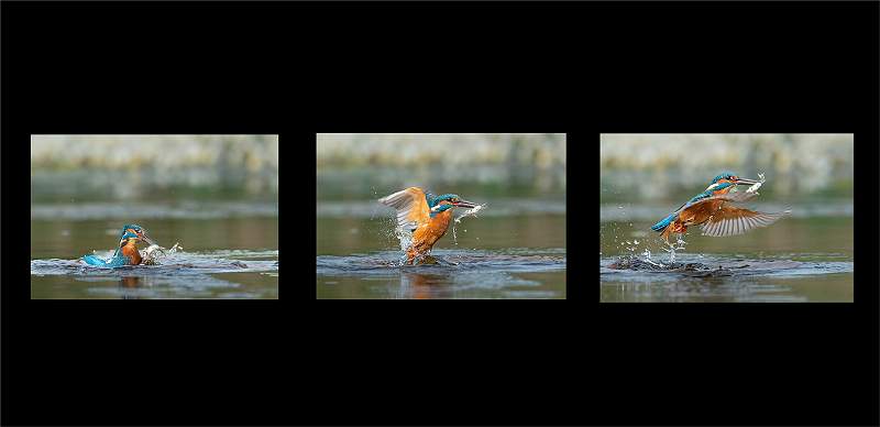 Hanging Plan_Kevin Williams.jpg