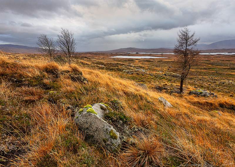 a6300015.jpg - Steeds Cup