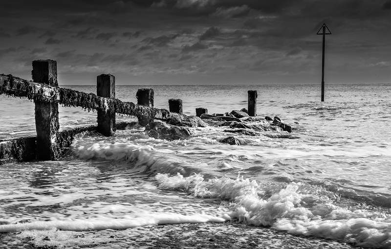 a6200012.jpg - Steeds Cup