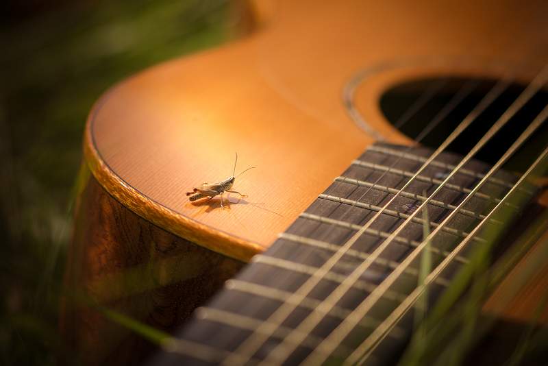 a6200015.jpg - Steeds Cup