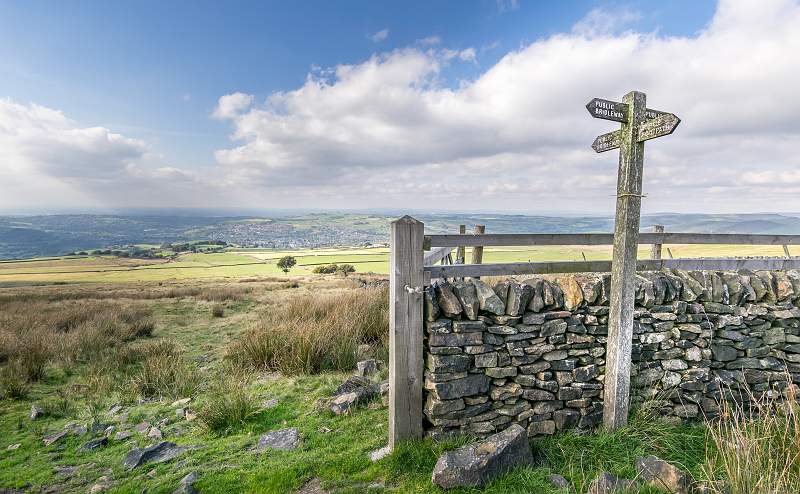 a6200016.jpg - Steeds Cup