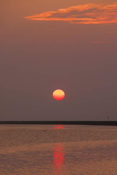 First Light at Fosdyke_Dennis Kell .jpg