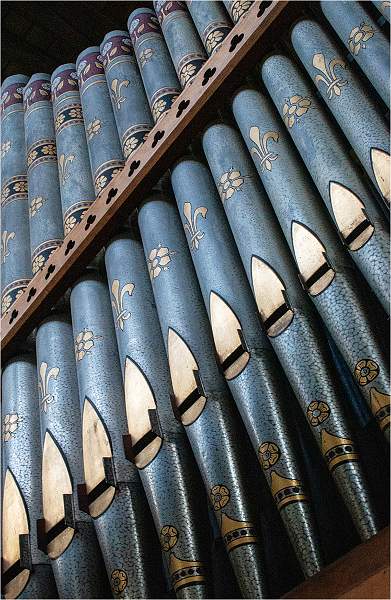Organ Pipes_Kim Dewing .jpg