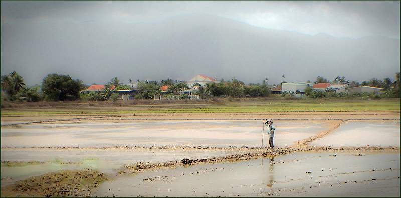 The Lone Worker_Christine Garner .jpg