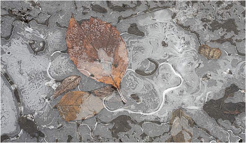 Winter Curves_Julie Browne .jpg - Annual Exhibition