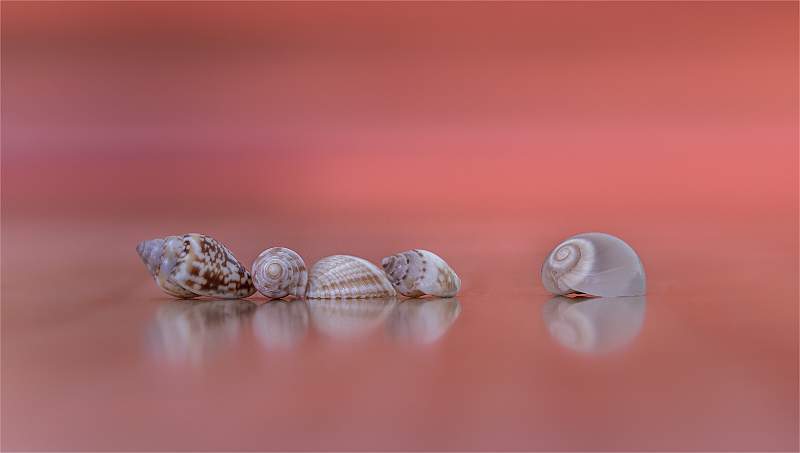 4 Seaside Sanctuaries_Lindsey Saunders.jpg - Set