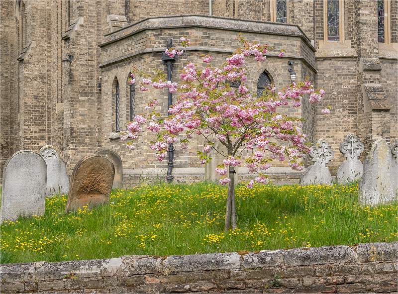 8 Springtime_Lindsey Saunders.jpg