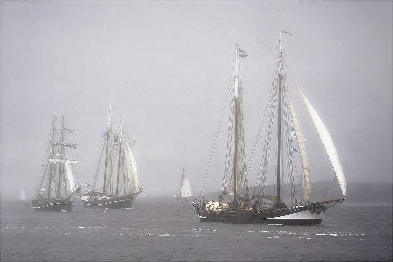 2 Misty Regatta_Wendy Mann.jpg - Steeds Cup