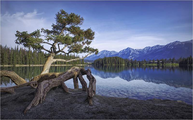 4 Lake View_Wendy Mann.jpg - Steeds Cup