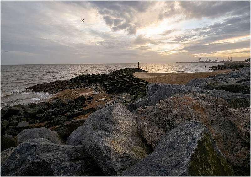 3 Cobbold's Point New Year's Day_Julie Browne.jpg - Steeds Cup