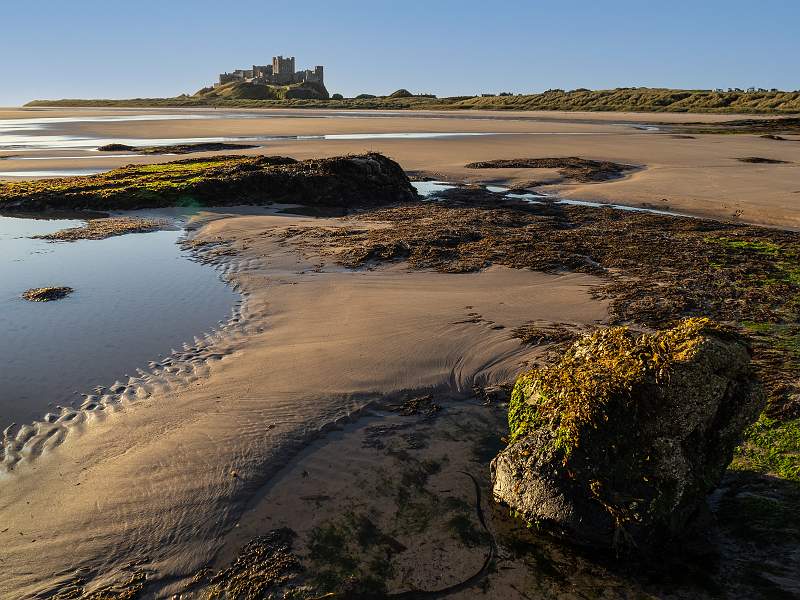 4 Bamburgh Early Morning 2_David Robinson.jpg